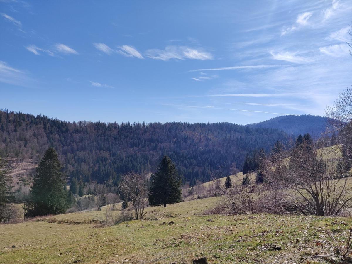 Berggasthaus Prager Boden ทอดท์เนา ภายนอก รูปภาพ