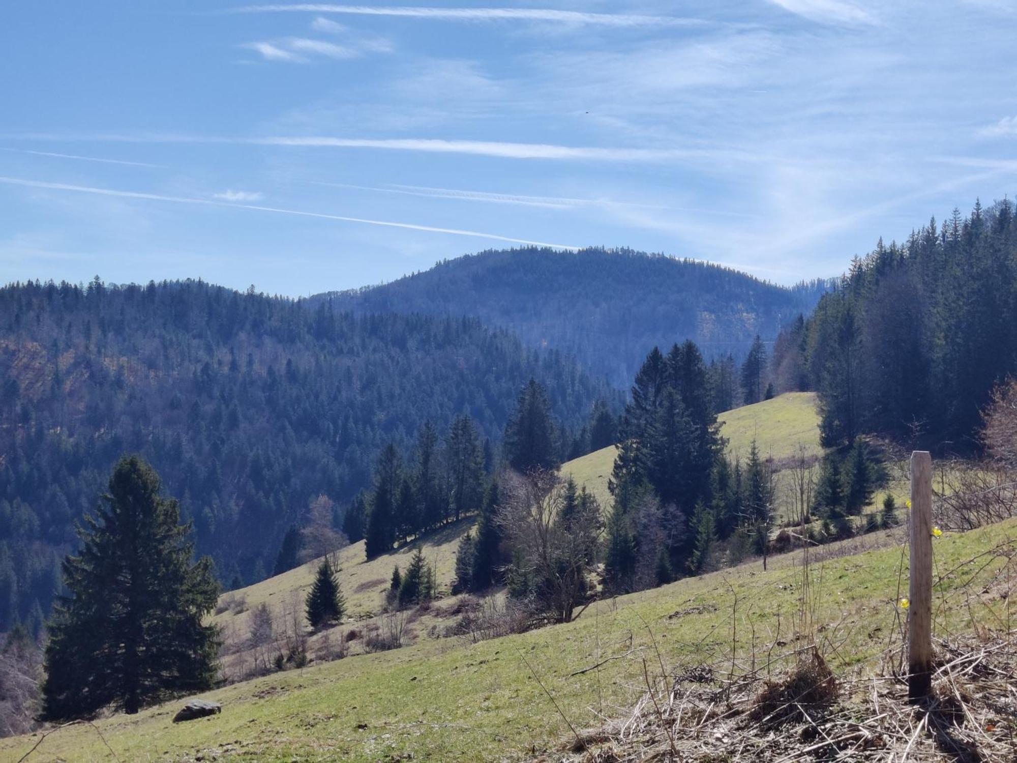 Berggasthaus Prager Boden ทอดท์เนา ภายนอก รูปภาพ