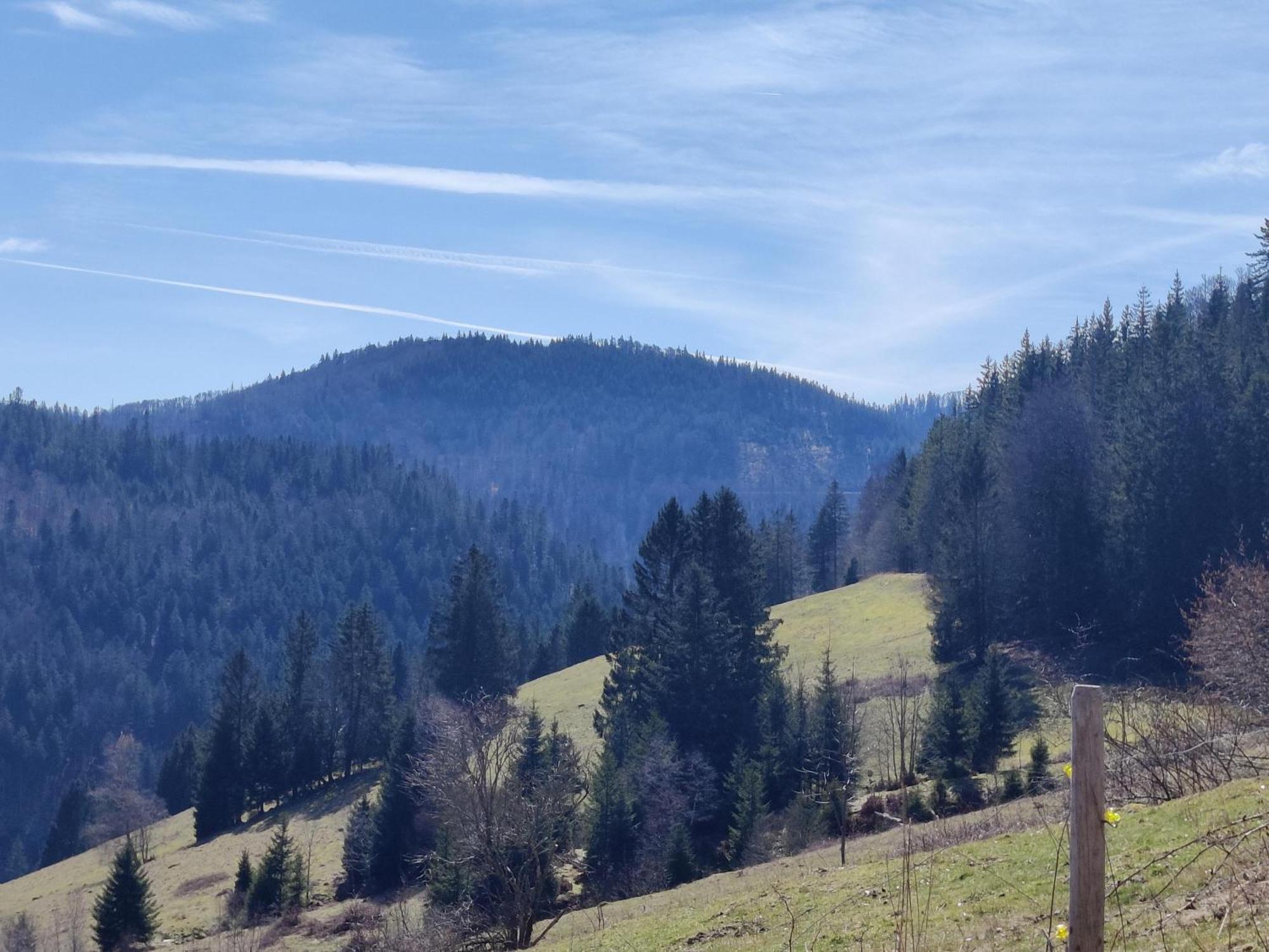Berggasthaus Prager Boden ทอดท์เนา ภายนอก รูปภาพ