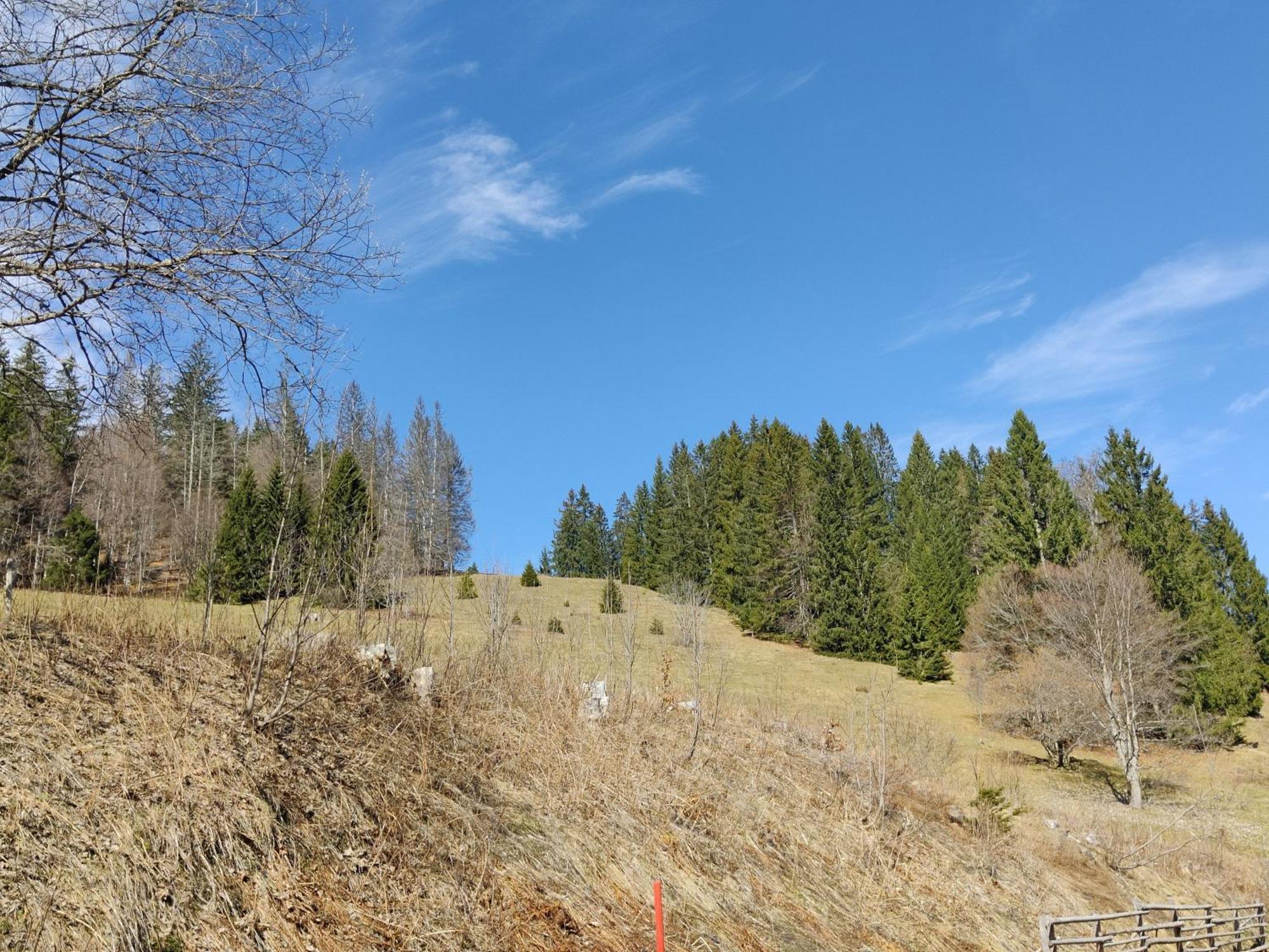 Berggasthaus Prager Boden ทอดท์เนา ภายนอก รูปภาพ