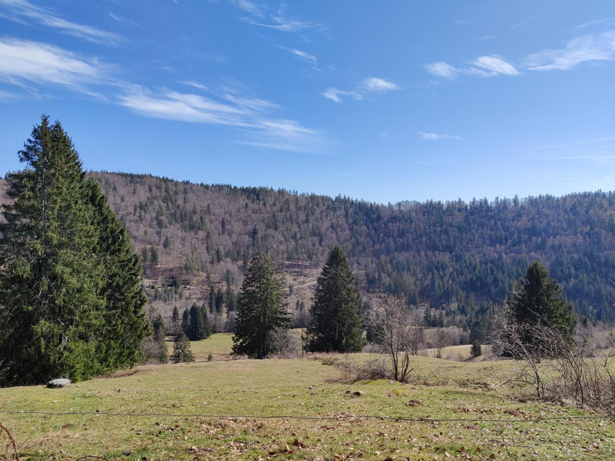 Berggasthaus Prager Boden ทอดท์เนา ภายนอก รูปภาพ