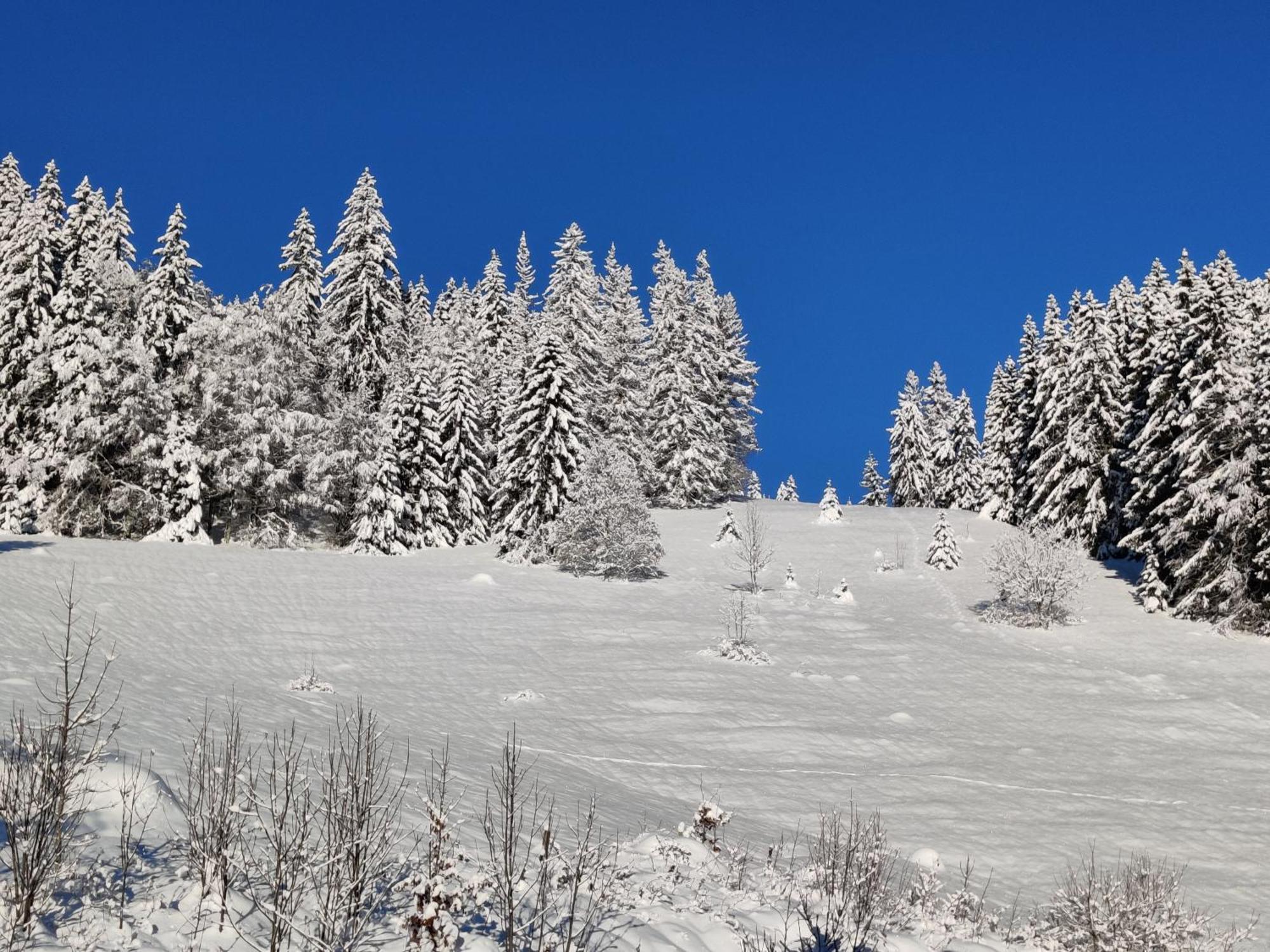 Berggasthaus Prager Boden ทอดท์เนา ภายนอก รูปภาพ