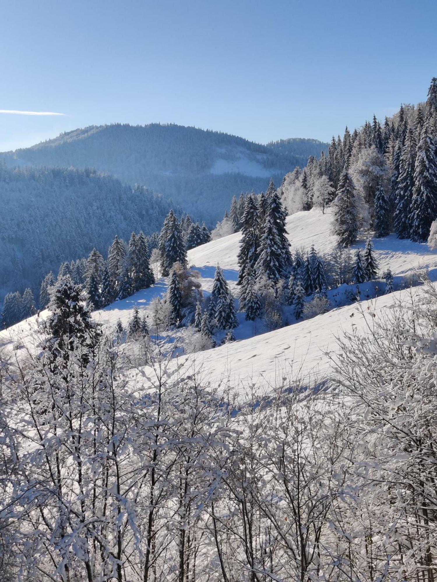 Berggasthaus Prager Boden ทอดท์เนา ภายนอก รูปภาพ